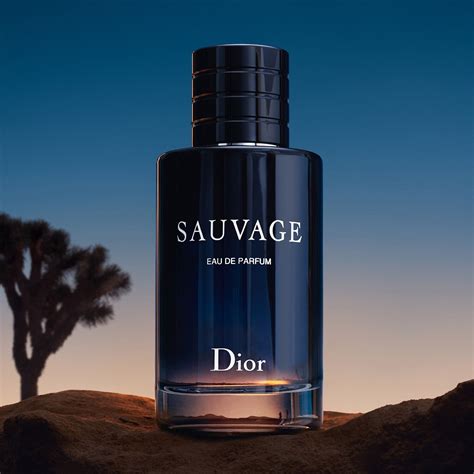 Inspired by Sauvage by Dior 